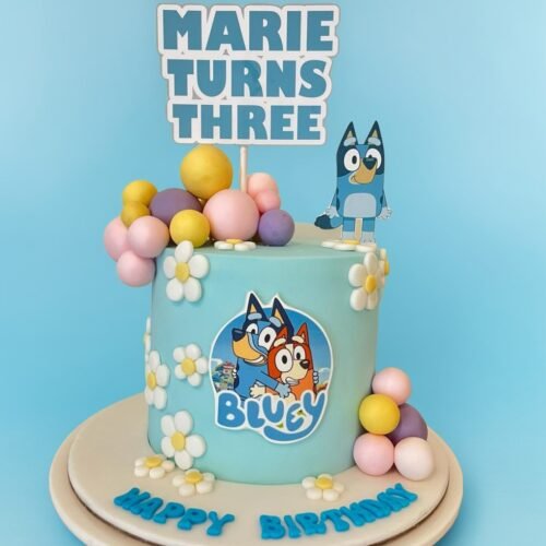 Bluey Cake