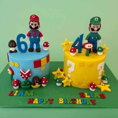 Mario and Luigi Cake