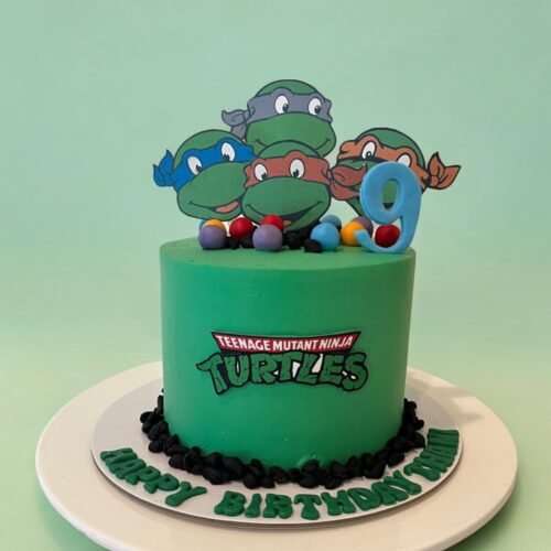 Ninja Turtle Cake 2