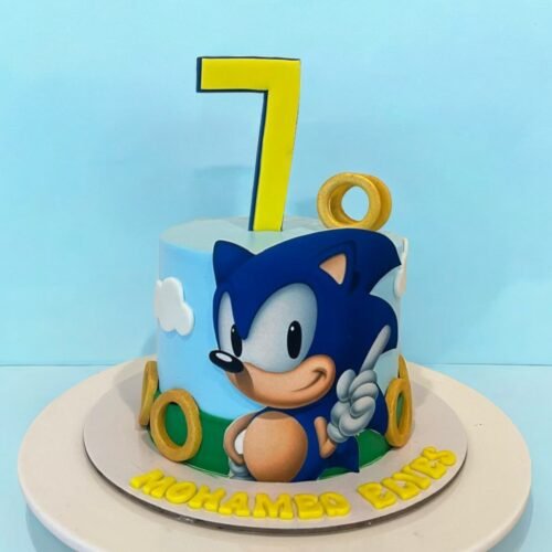 Sonic Design Cake