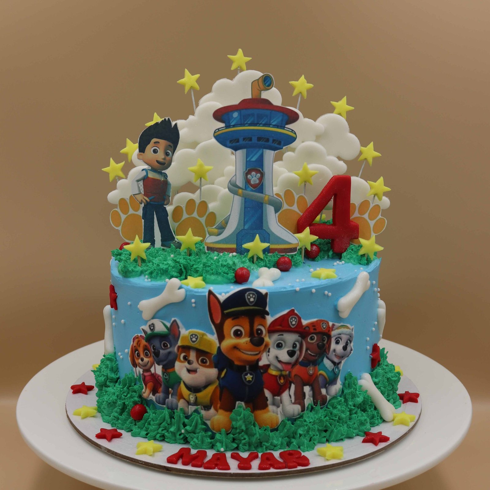 Paw Patrol Theme Cake 3