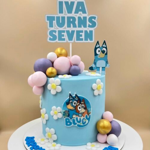 Bluey Design Cake