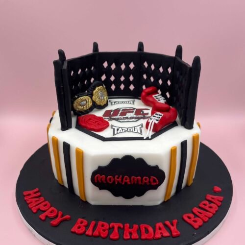 UFC Theme Cake