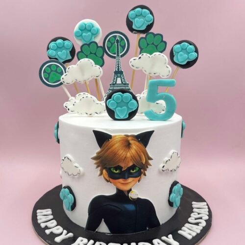 Cat Noir Theme Cake