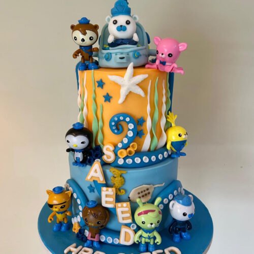 2 Layers Octonauts Cake