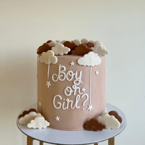 Gender Reveal Cake Clouds